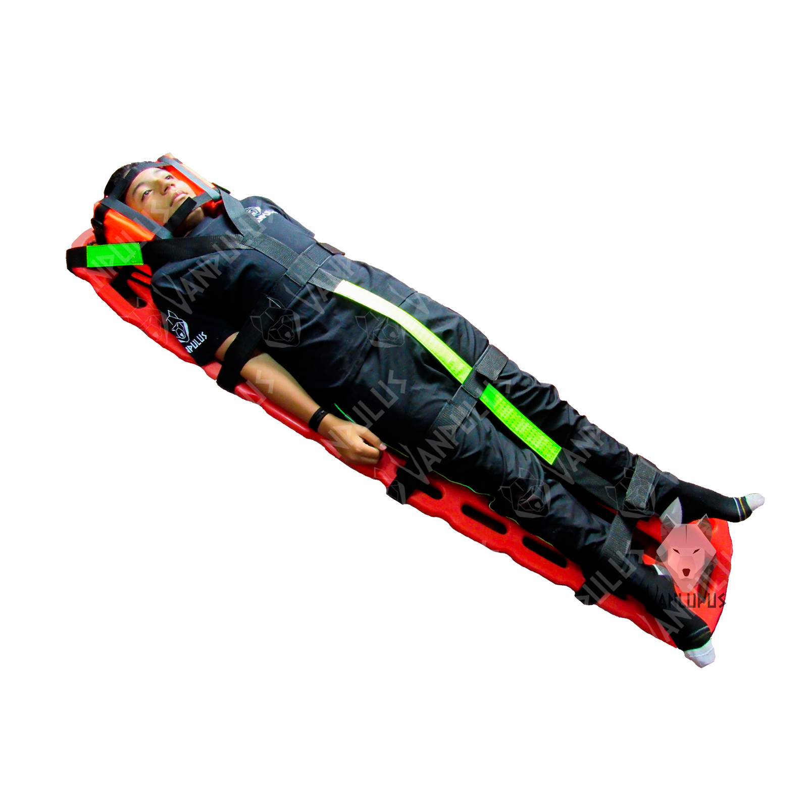 Arnés para Camilla Tipo Fel